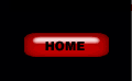 Home Button